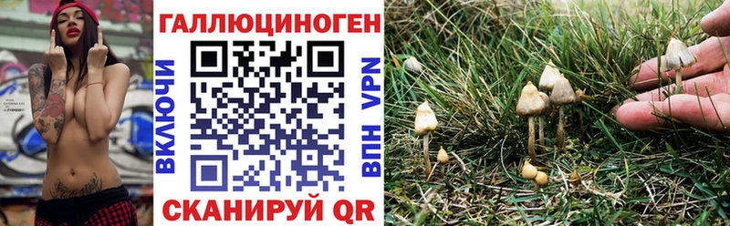 Галлюциногенные грибы мицелий  где купить наркоту  Горячий Ключ 